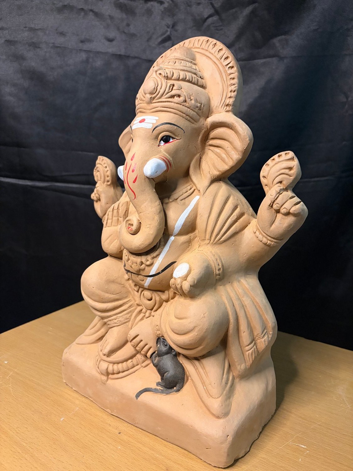 Vigna Vinayaka Image 6